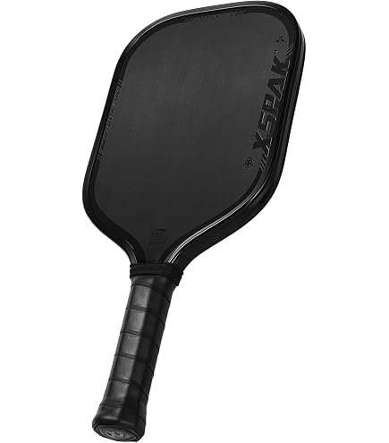 Amazon.com: Diadem Hero V2 Pickleball Starter Kit | 2 Lightweight